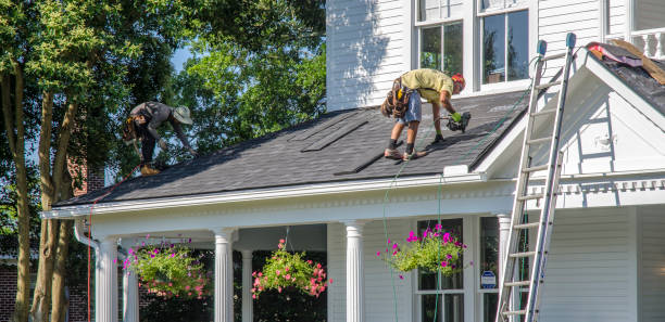 Best Roof Gutter Cleaning  in Fulton, NY